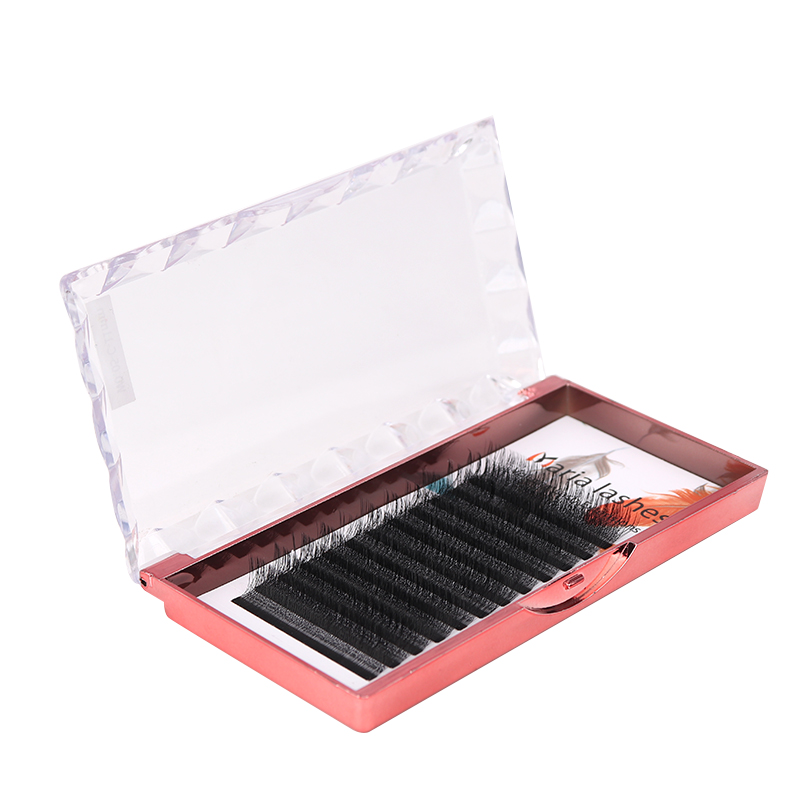 MARIA 10 Casi 4D W Fascio a Fo - Eyelash Extension Logo recensione e prezzo