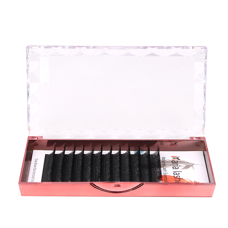 MARIA 10 Casi 4D W Fascio a Fo - Eyelash Extension Logo recensione e prezzo